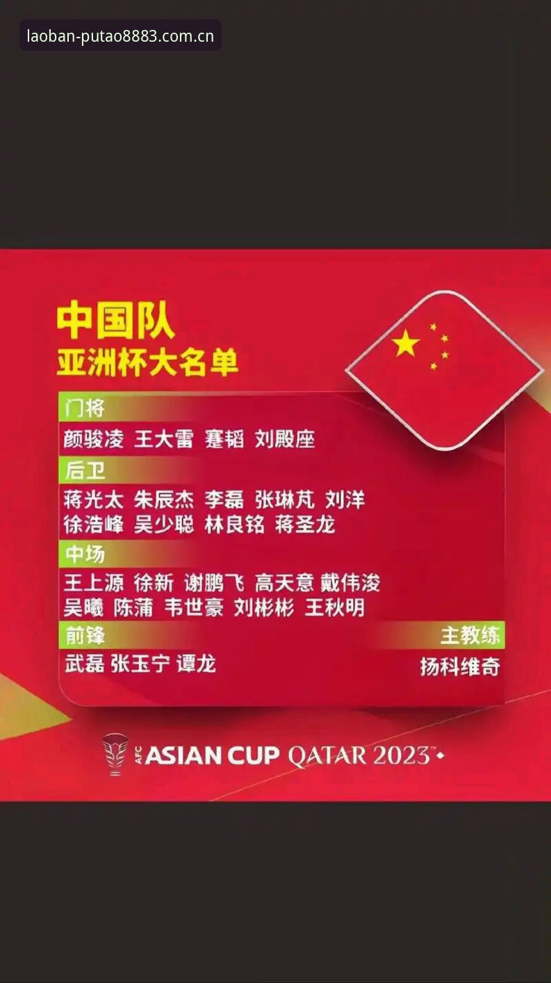 如何看待足协第三批禁足名单？新葡萄官网版带你透视中国足球的“清朗”时刻